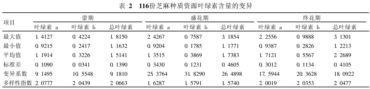 表2  116份芝麻種質(zhì)資源葉綠素含量的變異