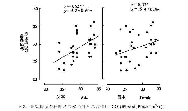 圖3 高粱核質(zhì)雜種葉片與雙親葉片光合作用(CO2)的關(guān)系